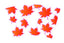 Venti Cold Cup 24 oz Vinyl Wrap - Maple Leaves - The Vinyl Haus
