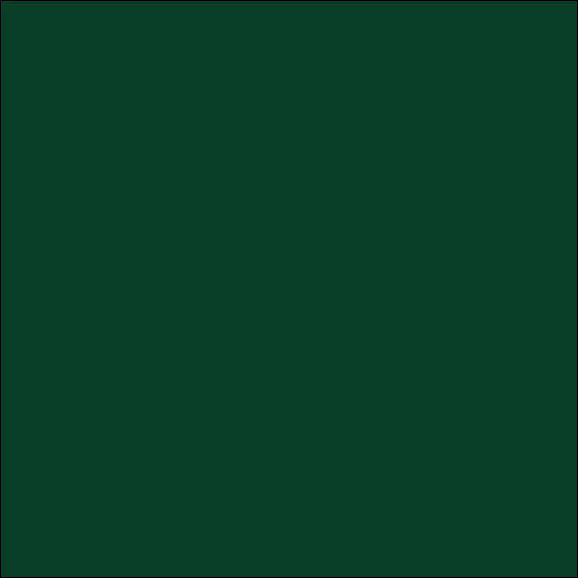 ORACAL 651 Dark Green 12" x 12" - The Vinyl Haus Main image