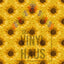 Sunflowers Pattern Vinyl 12" x 12" - The Vinyl Haus