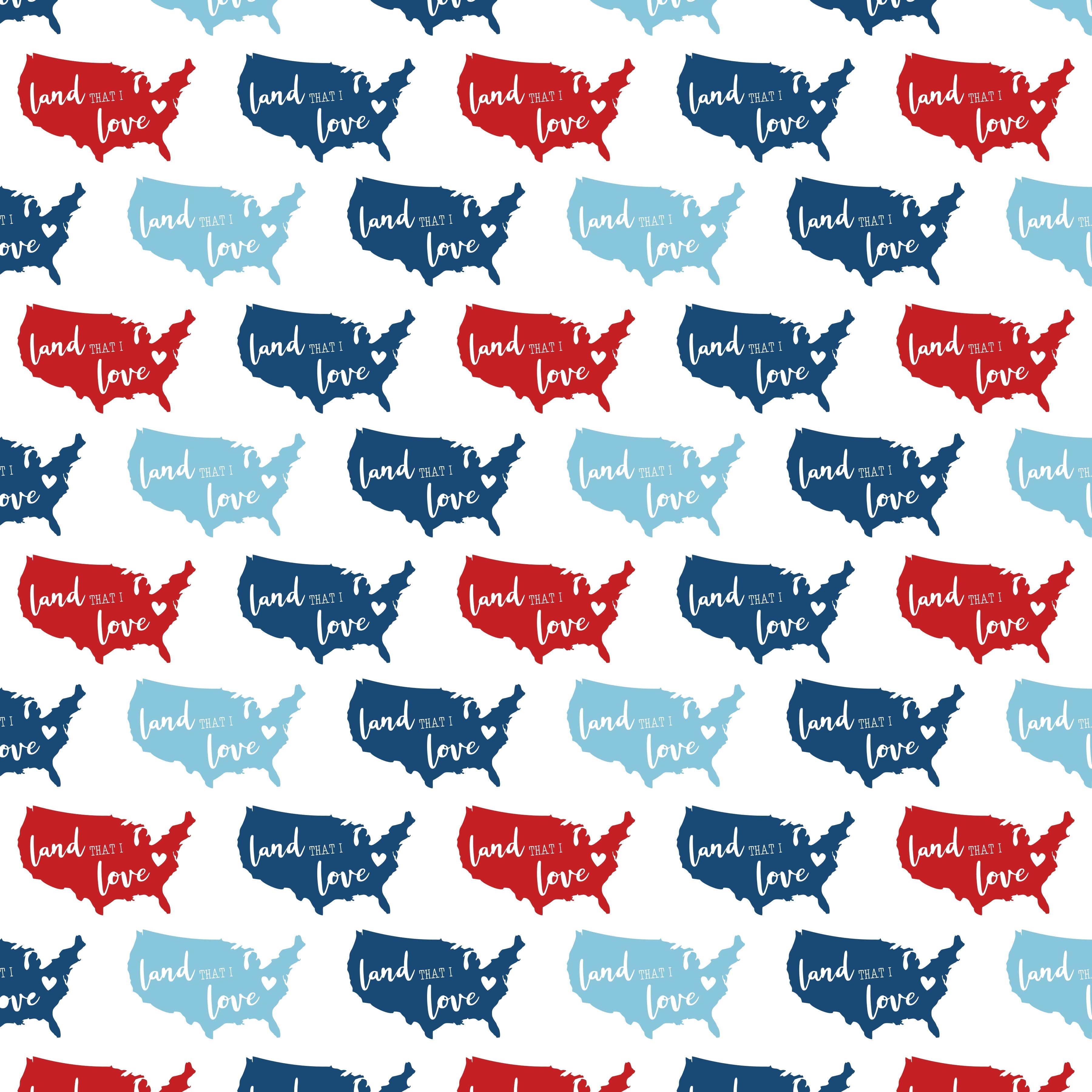 Land That I Love Pattern Vinyl 12" x 12" - The Vinyl Haus Main image