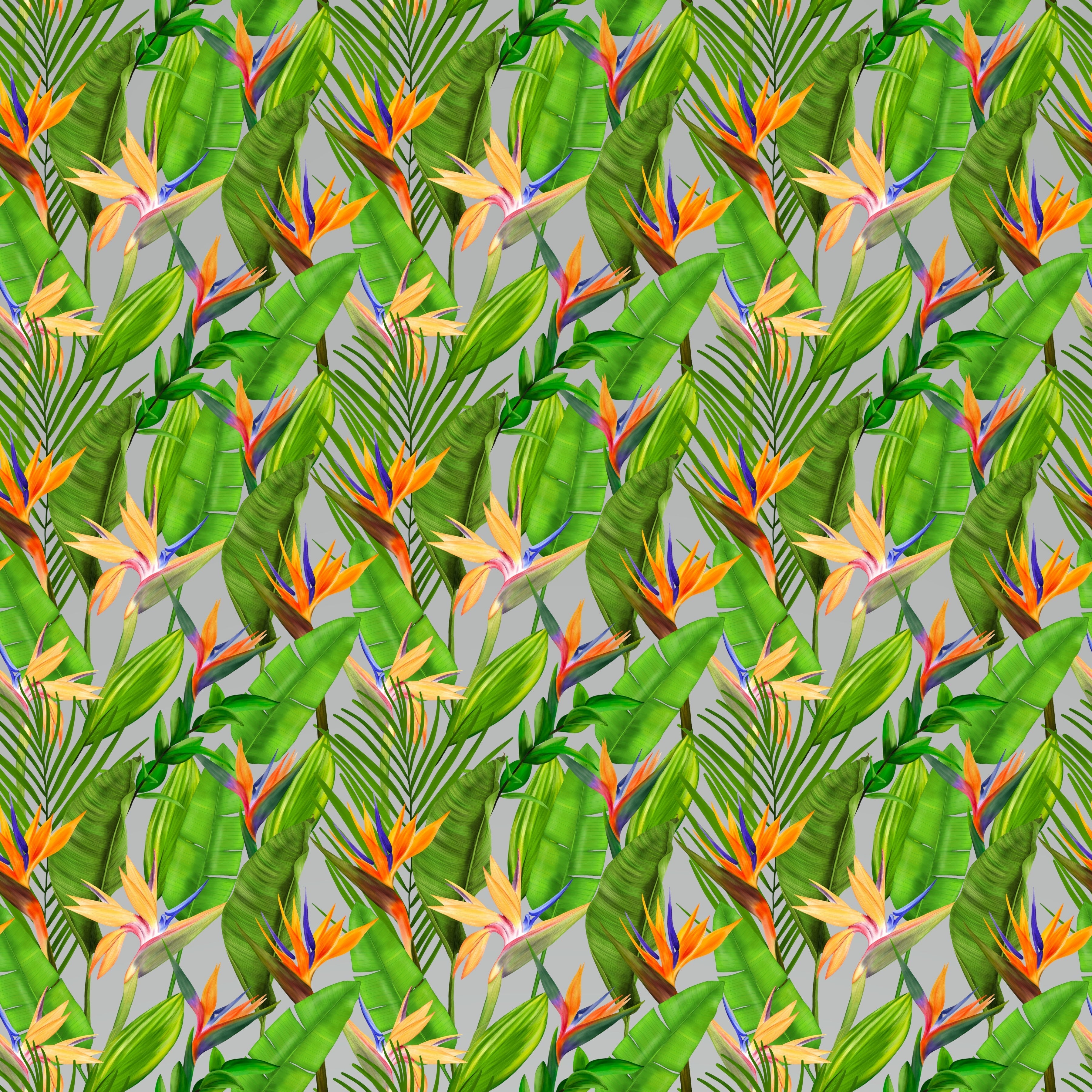 Birds of Paradise Tropical Flowers Small Pattern Vinyl 12" x 12" - The Vinyl Haus Main image
