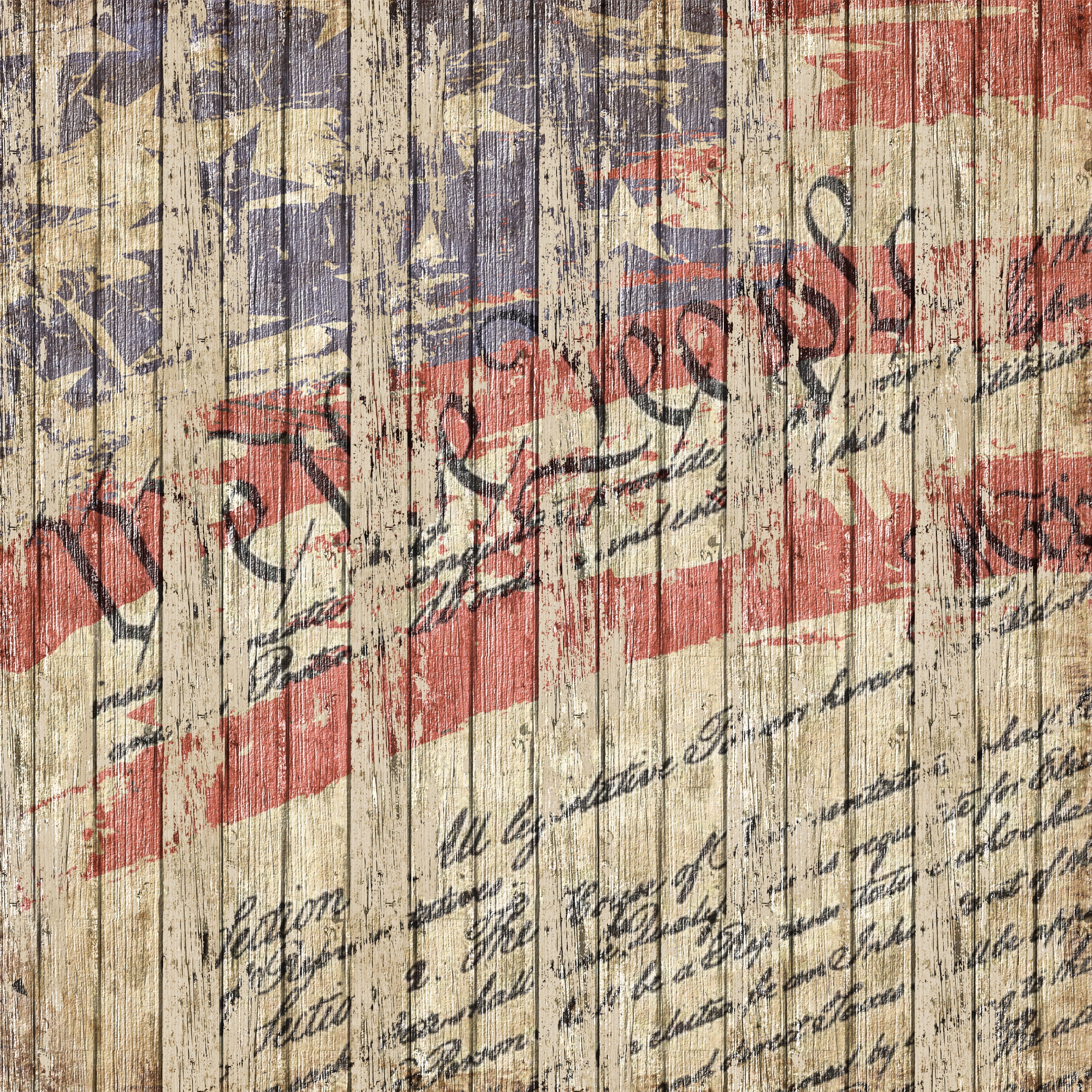 Constitution on Distressed Wood Pattern Vinyl 12" x 12" - The Vinyl Haus Main image