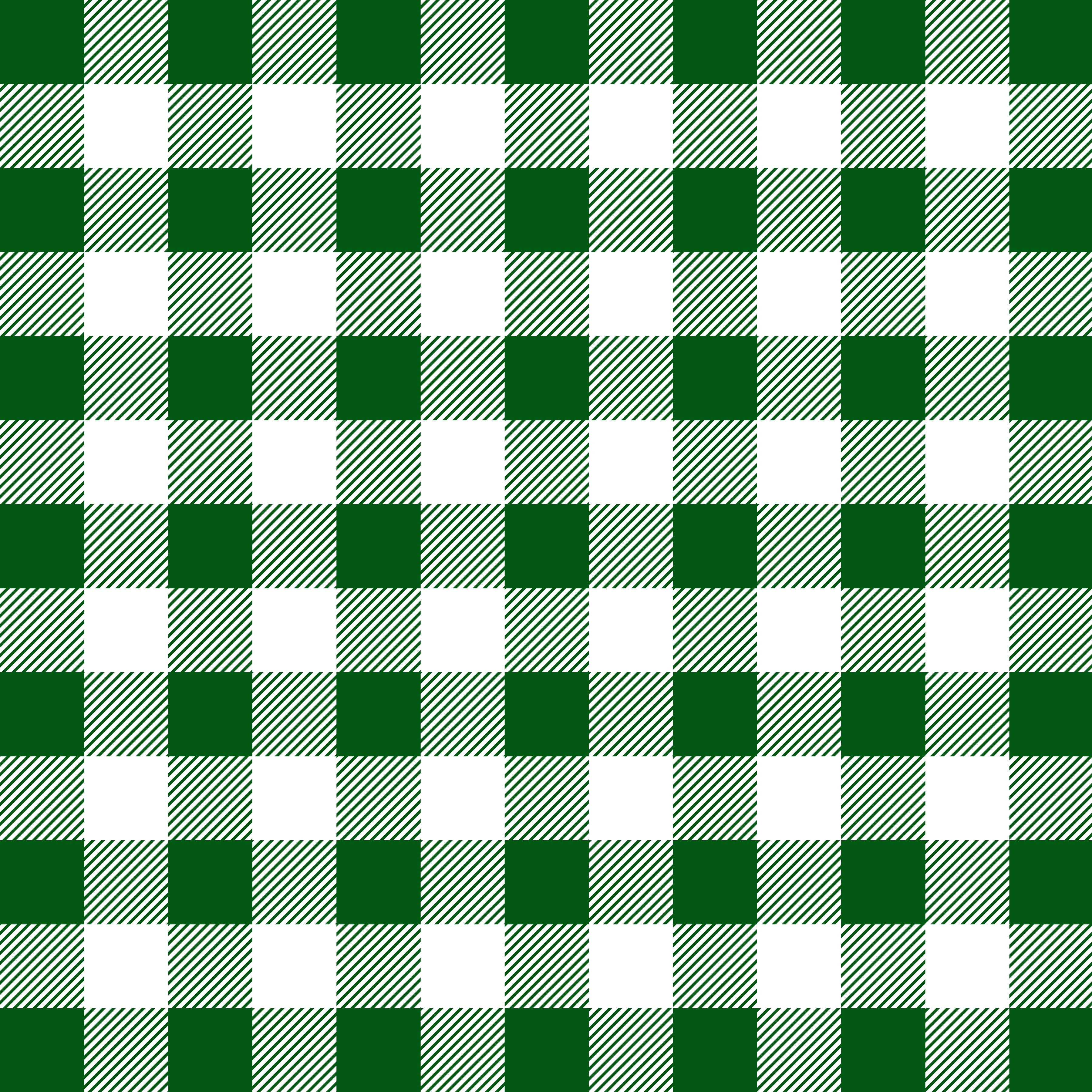 Big Green and White Checkered Pattern Vinyl 12" x 12" - The Vinyl Haus Main image