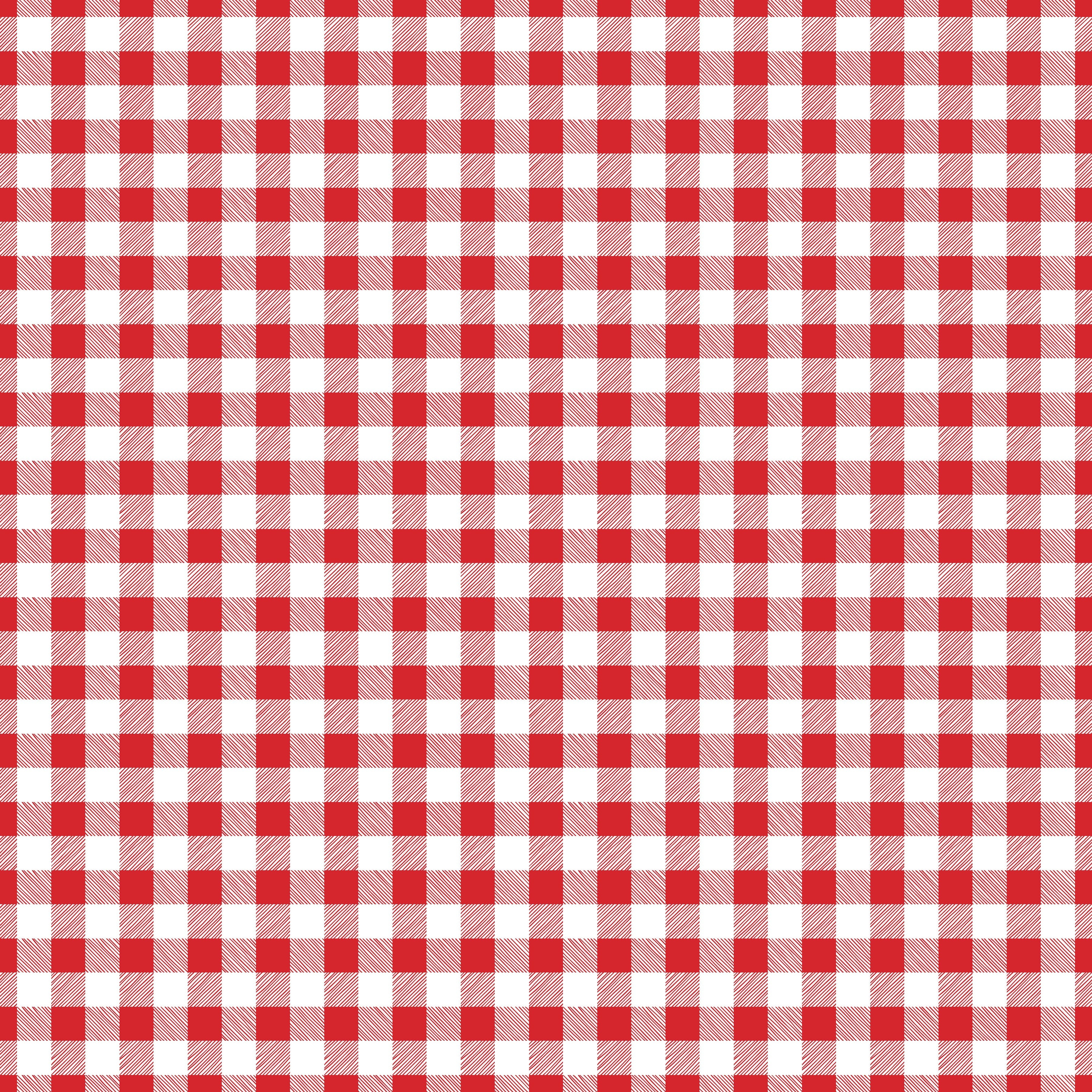 Small Red and White Checkered Pattern Vinyl 12" x 12" - The Vinyl Haus Main image