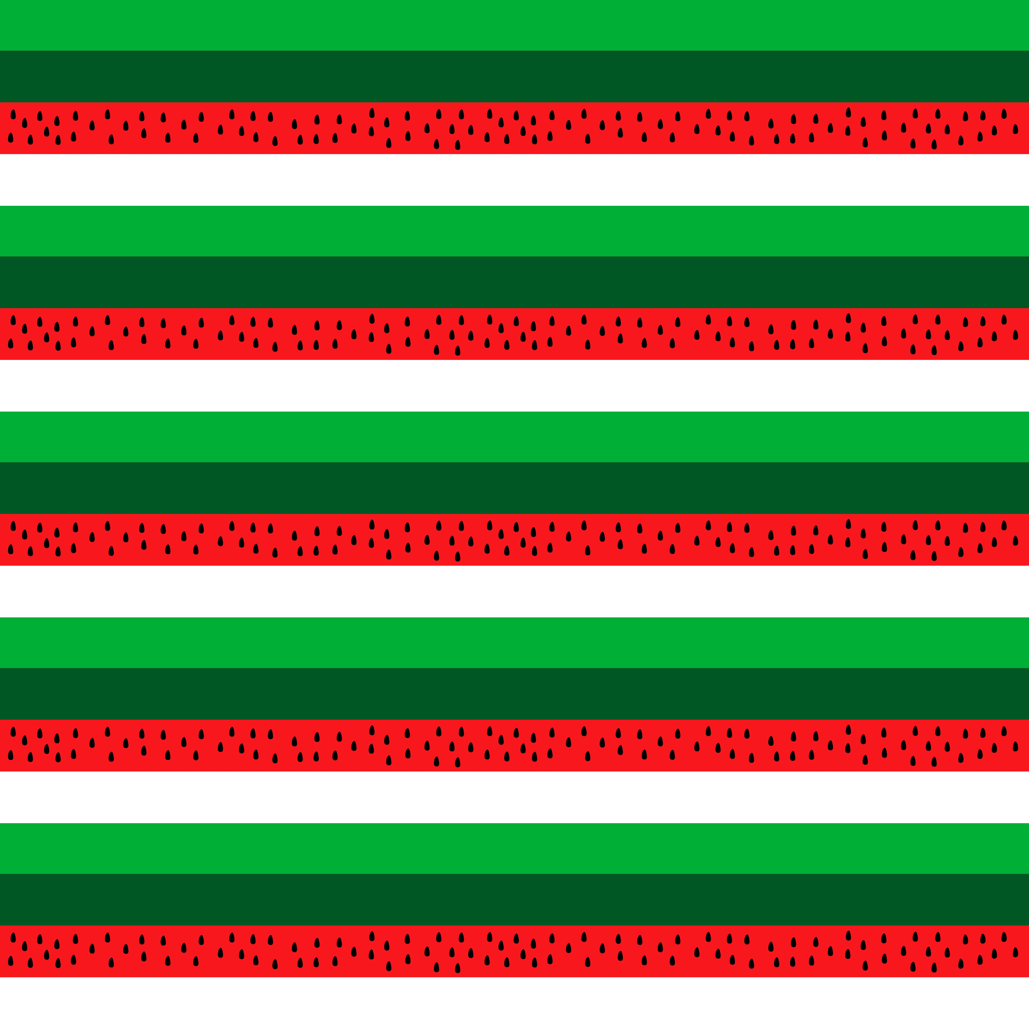 Watermelon Stripes Pattern Vinyl 12" x 9" - The Vinyl Haus Main image