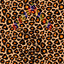 Orange and Tan Leopard Pattern Vinyl 12" x 12" - The Vinyl Haus