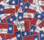 Texas Flags Pattern Vinyl 11" x 12" - The Vinyl Haus
