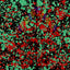 Christmas Paint Splatter Pattern Vinyl 12" x 12" - The Vinyl Haus