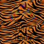 Tiger Pattern Vinyl 12" x 12" - The Vinyl Haus