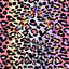 Rainbow Cheetah Pattern Vinyl 12" x 12" - The Vinyl Haus