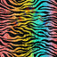 Rainbow Zebra print PRIDE Pattern Vinyl 12" x 12" - The Vinyl Haus