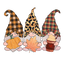 Sublimation Prints - Fall Gnomes - The Vinyl Haus