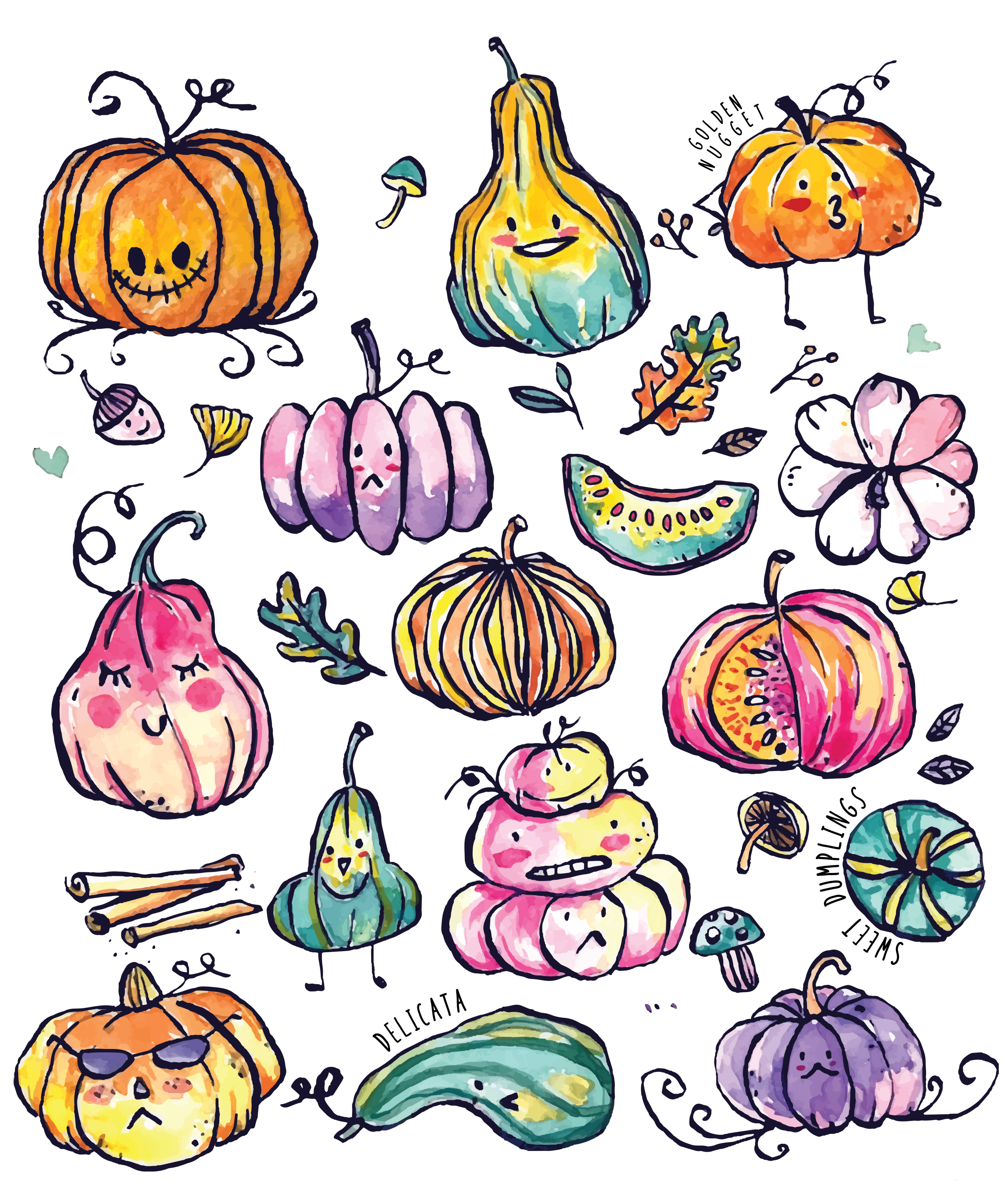 Sublimation Prints - Fall Pumpkins and Gourds - The Vinyl Haus Main image