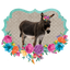 Sublimation Prints - Fiesta Donkey - The Vinyl Haus