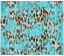 Sublimation Tumbler Wrap - Turquoise and Leopard - The Vinyl Haus