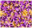 Sublimation Tumbler Wrap - Purple and Yellow Camo - The Vinyl Haus