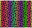 Sublimation Tumbler Wrap - Neon Rainbow Cheetah Stripes Black Background - The Vinyl Haus