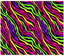 Sublimation Tumbler Wrap - Neon Rainbow Zebra - The Vinyl Haus