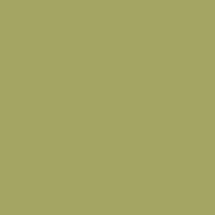 Siser EasyWeed Vegas Gold 12" x 12" - The Vinyl Haus Main image