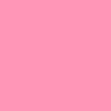 ORACAL 651 Soft Pink 12" x 12" - Heat Transfer Haus