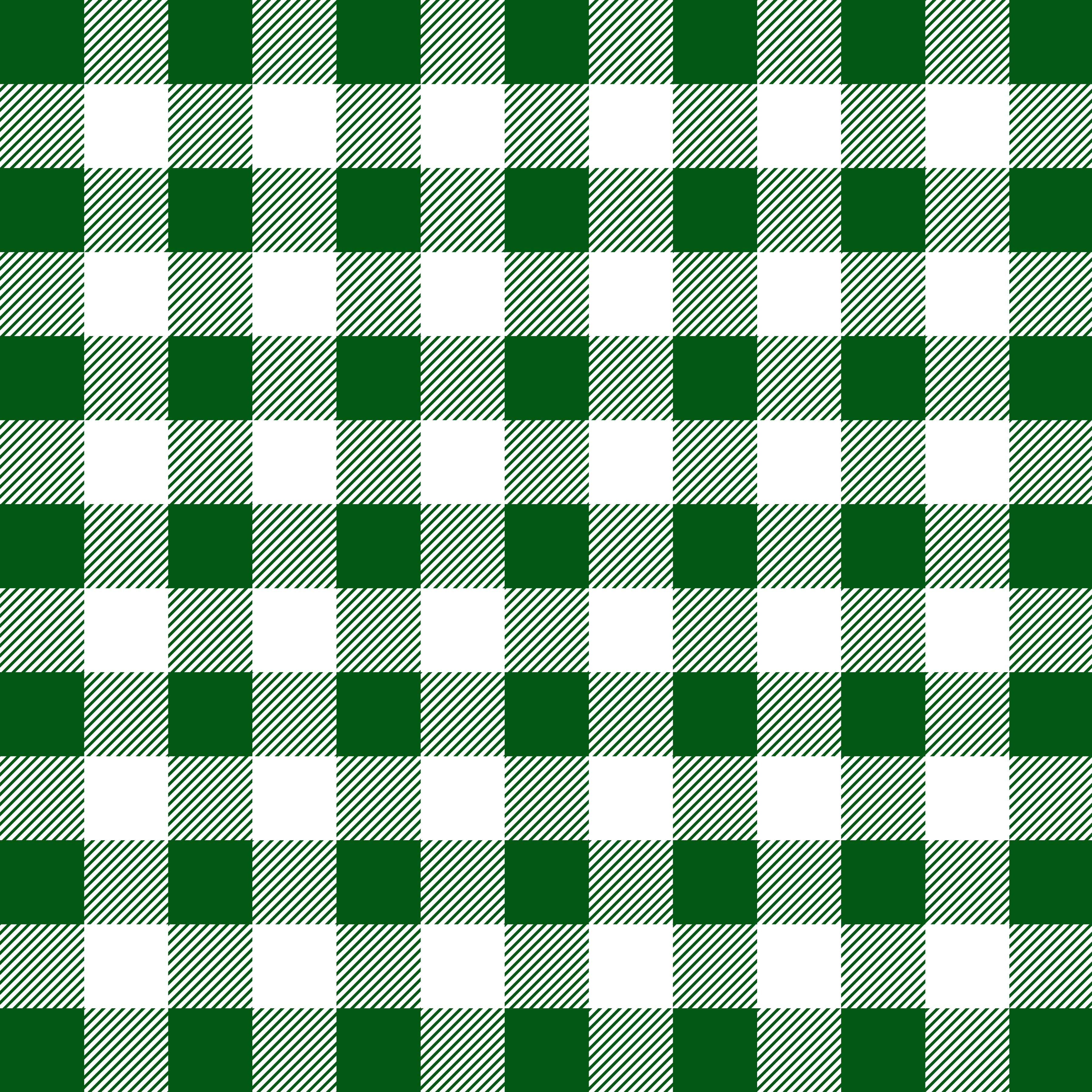 Big Green and White Checkered Pattern Vinyl 12" x 12" - The Vinyl Haus