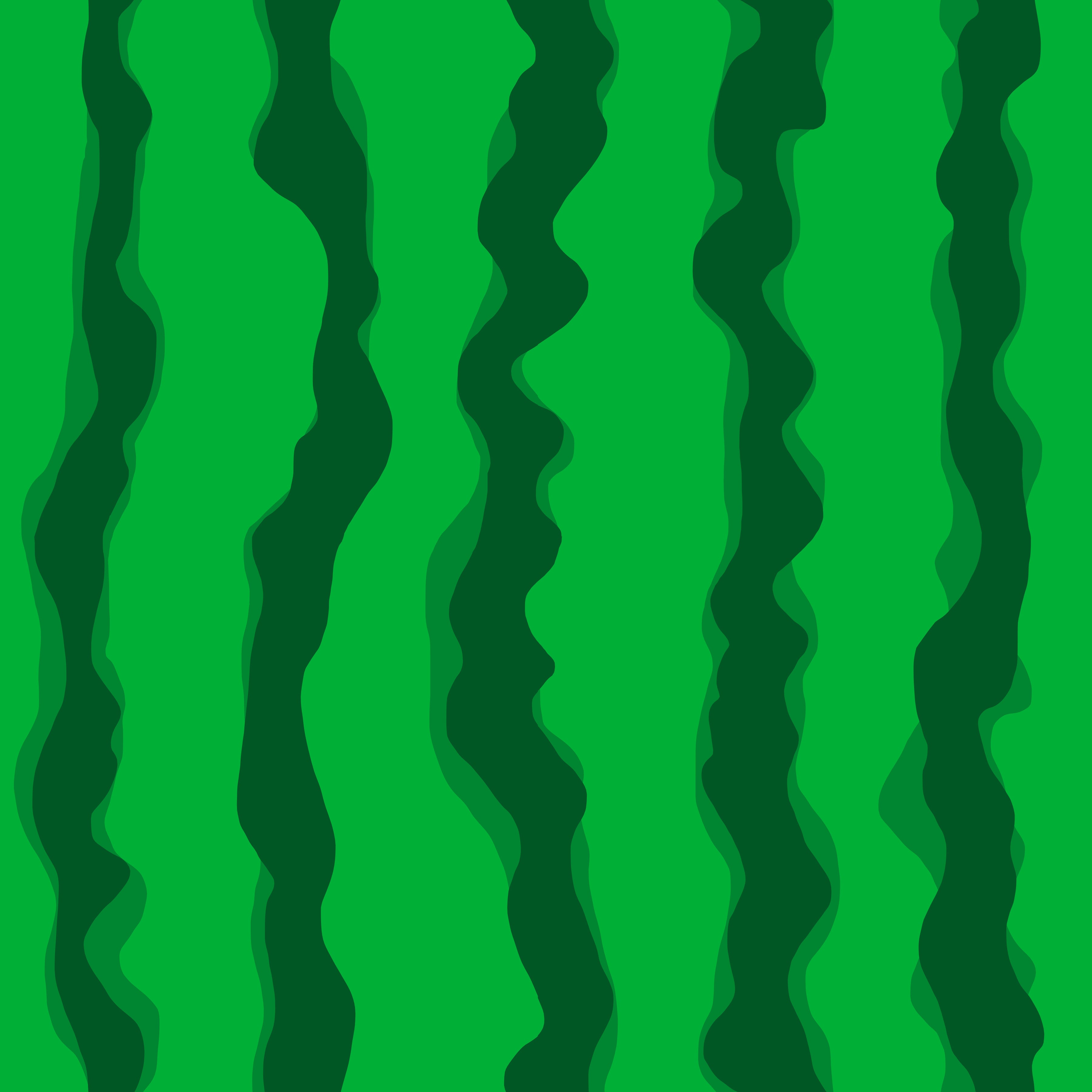 Watermelon Rind Pattern Vinyl 12