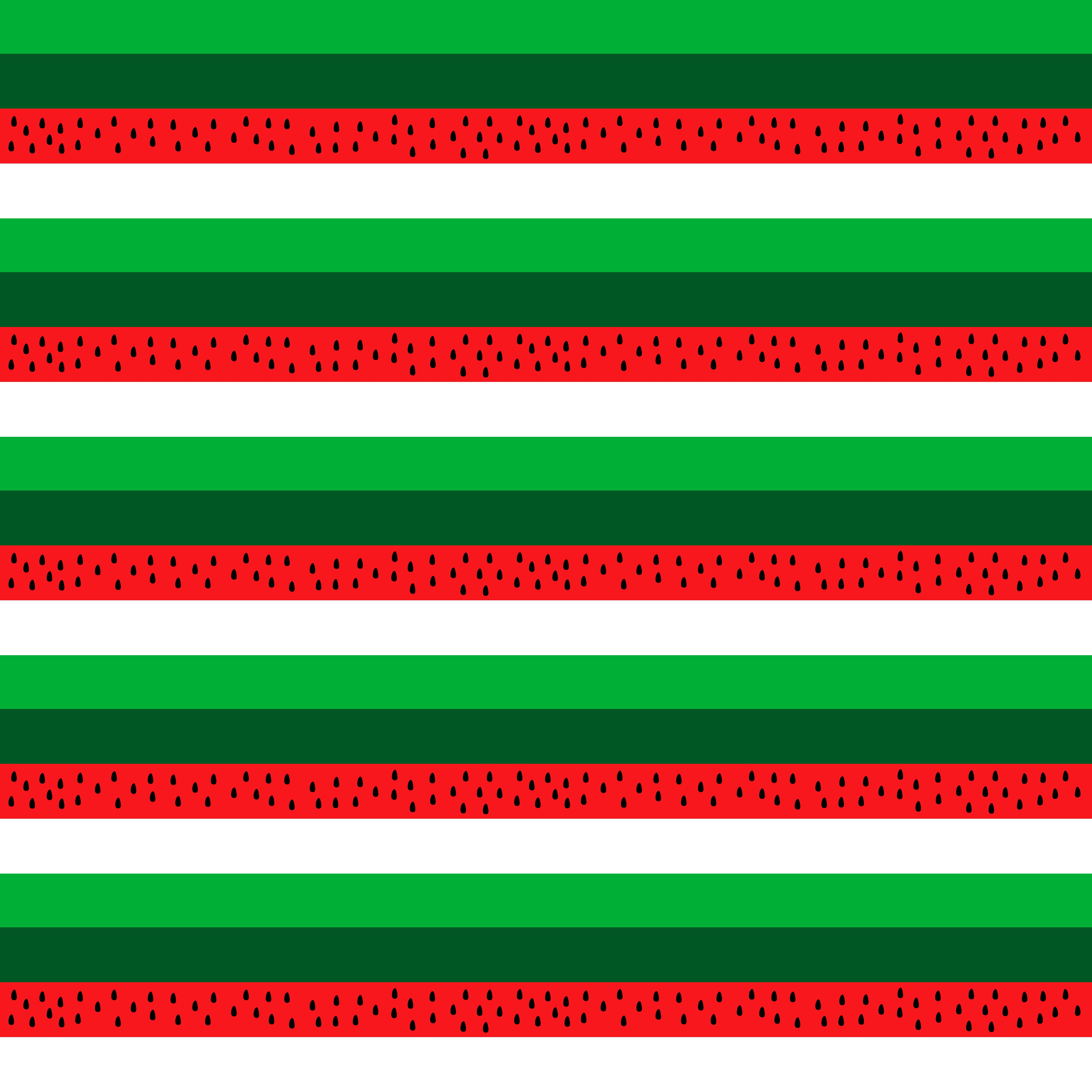 Watermelon Stripes Pattern Vinyl 12" x 9" - The Vinyl Haus